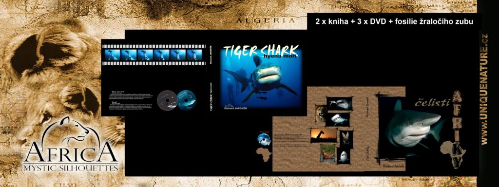 1.500 - kniha Tiger shark + čelisti Afriky